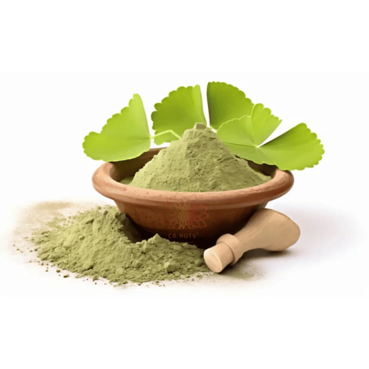 Ginkgo Biloba